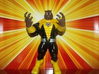Sinestro Corps Taishee( TEY-SHIY) (Green Lantern) Custom Action Figure