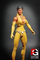 DCUC Vixen (DC Universe) Custom Action Figure