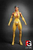 DCUC Vixen (DC Universe) Custom Action Figure