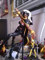 Storm (Marvel Universe) Custom Action Figure