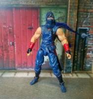 Ryu Hayabusa (Ninja Gaiden) Custom Action Figure