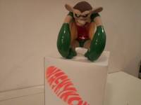 Washy Kong Robin (Batman & Robin) Custom Statue / Bust