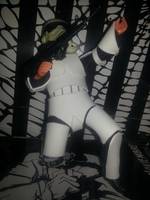 Stormtrooper Clothed Mego Style (Mego) Custom Action Figure