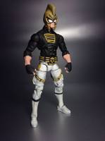 The Ray (DC Infinite Heroes) Custom Action Figure