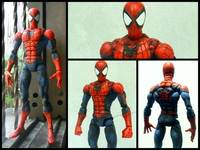 The Amazing Spider-Man (Marvel Legends) Custom Action Figure