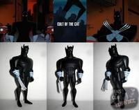Cat Ninjas ( TNBA ) (Batman Animated) Custom Action Figure