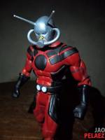 Ant Man (Marvel Legends) Custom Action Figure