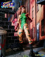 Street Fighter.....Cammy White (Street Fighter) Custom Action Figure