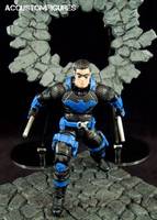 Nightwing (Tactical) (DC Universe) Custom Action Figure