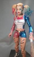 Harley Quinn  / Margot Robbie Sucide Squad (Batman) Custom Action Figure