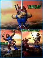 Turtlecats....Lionard-O (Thundercats) Custom Action Figure