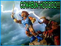 Turtlecats....Lionard-O (Thundercats) Custom Action Figure