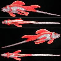 GF (Goldfish) Swordtail (Wizardry) Custom Other