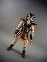 S.H Figuarts Raditz (Dragonball Z) Custom Action Figure