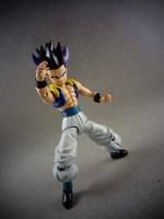 S.H Figuarts Gotenks (Dragonball Z) Custom Action Figure