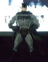 Batman The Dark Knight (DC Superheroes) Custom Action Figure