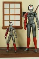 Katana (Marvel Universe Scale) (DC Universe) Custom Action Figure