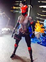 Red Hood (Female Version) (Batman) Custom Action Figure