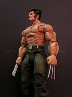 The Wolverine (X-Men) Custom Action Figure