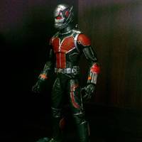 Marvel Legends Ant-Man Movie (Marvel Legends) Custom Action Figure