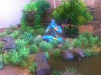 Yoga Land (Street Fighter) Custom Diorama / Playset