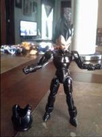 Dark Vegeta (Dragonball Z) Custom Action Figure