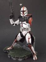 Arc Trooper Commander (Star Wars) Custom Action Figure