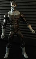The Black Panther (Marvel Legends) Custom Action Figure