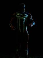 The Original Shield (Wrestling) Custom Statue / Bust