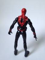 Assassin Spider-Man (Marvel Legends) Custom Action Figure