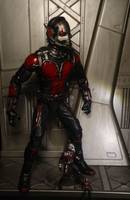 ant man (movie) (Marvel Legends) Custom Action Figure