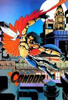BLACK CONDOR II Ryan Kendall (DC Universe) Custom Action Figure