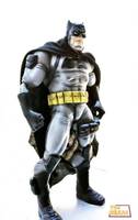 the batman (DC Direct) Custom Action Figure