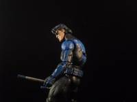 Nightwing (Batman) Custom Action Figure