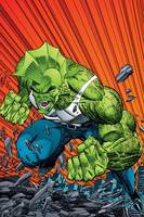 Savage Dragon (Savage Dragon) Custom Action Figure