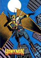 HAWKMAN Katar Hol from Hawkworld (DC Universe) Custom Action Figure