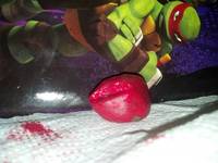 Bean Bag (Mini Mutants) (Teenage Mutant Ninja Turtles) Custom Miniature / Figurine