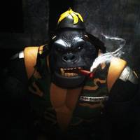 Sgt. Bananas (Teenage Mutant Ninja Turtles) Custom Action Figure