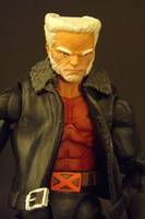 Old Man Logan (Wolverine) (Marvel Legends) Custom Action Figure