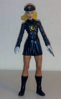 Zinda Blake (Lady Blackhawk) (Dc Universe) (DC Direct) Custom Action Figure