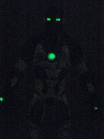 IRON LEGION 00 Prototype Suit (Avengers) Custom Action Figure