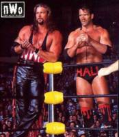 NWO: The Outsiders (Wrestling) Custom Action Figure