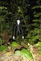 Slenderman (Horror) Custom Action Figure
