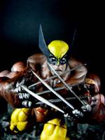 Sam Keith Wolverine (Marvel Legends) Custom Action Figure