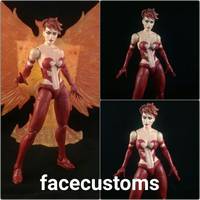 AOA phoenix (Marvel Legends) Custom Action Figure