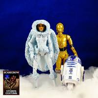 Snow Bunny Padme (Star Wars) Custom Action Figure