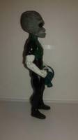 Gray'LYN (DC Superheroes) Custom Action Figure