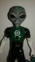 Gray'LYN (DC Superheroes) Custom Action Figure