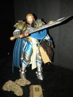 Warcraft Young Tirion Fordring (Warcraft) Custom Action Figure