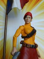 Mademoiselle Marie (DC Universe) Custom Action Figure